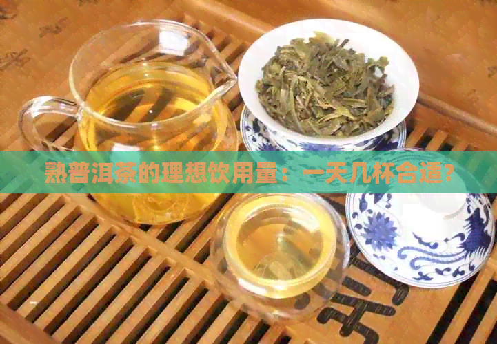 熟普洱茶的理想饮用量：一天几杯合适？