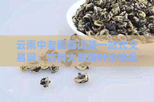 云南中老期普洱茶一站式交易网：古树大益茶叶价格批发信息