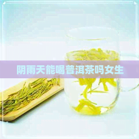 阴雨天能喝普洱茶吗女生