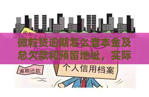 微粒贷逾期怎么查本金及总欠款和预留地址，实际还款情况如何查询？