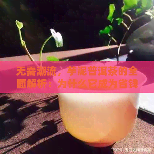 无需潮流，芋泥普洱茶的全面解析：为什么它成为省钱又美味的选择？