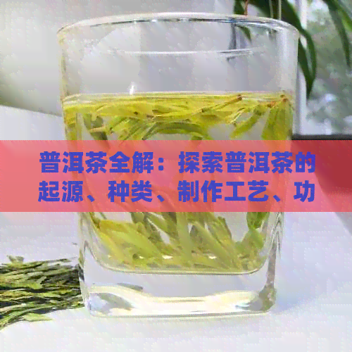 普洱茶全解：探索普洱茶的起源、种类、制作工艺、功效与泡法等全方位信息