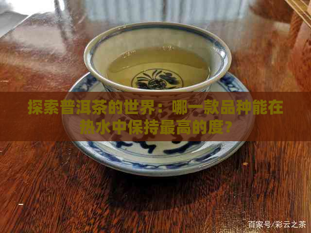 探索普洱茶的世界：哪一款品种能在热水中保持更高的度？