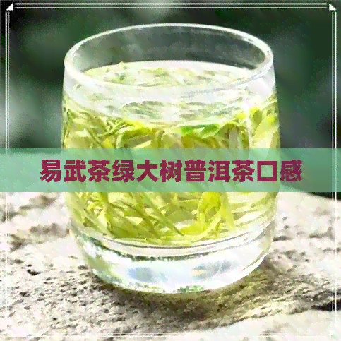 易武茶绿大树普洱茶口感