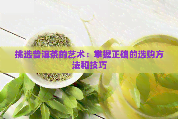 挑选普洱茶的艺术：掌握正确的选购方法和技巧