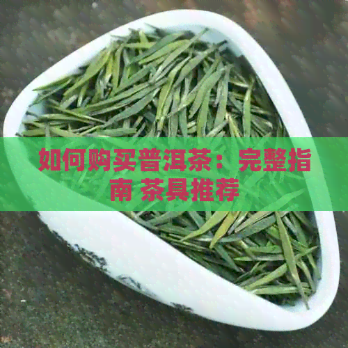 如何购买普洱茶：完整指南 茶具推荐