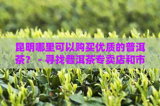 昆明哪里可以购买优质的普洱茶？ - 寻找普洱茶专卖店和市场指南