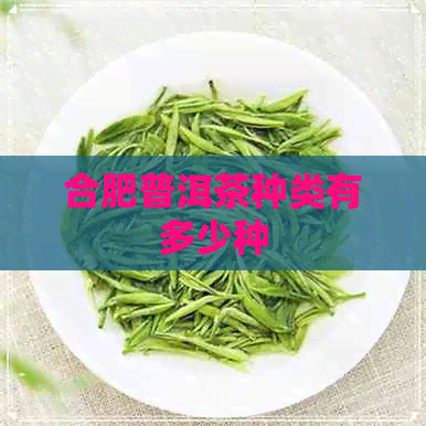 合肥普洱茶种类有多少种