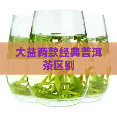 大益两款经典普洱茶区别