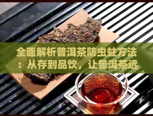 全面解析普洱茶防虫蛀方法：从存到品饮，让普洱茶远离虫害困扰