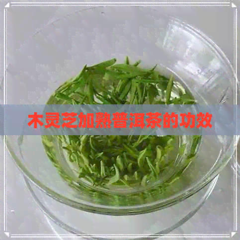 木灵芝加熟普洱茶的功效