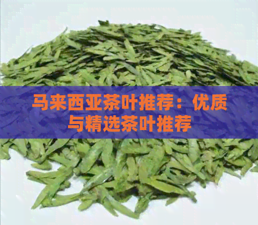 马来西亚茶叶推荐：优质与精选茶叶推荐