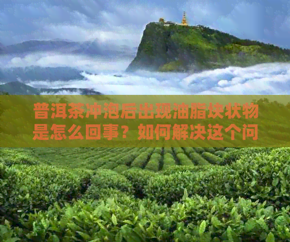 普洱茶冲泡后出现油脂块状物是怎么回事？如何解决这个问题？