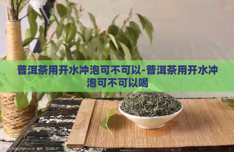 普洱茶用开水冲泡可不可以-普洱茶用开水冲泡可不可以喝