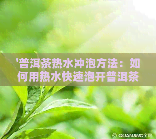 '普洱茶热水冲泡方法：如何用热水快速泡开普洱茶'