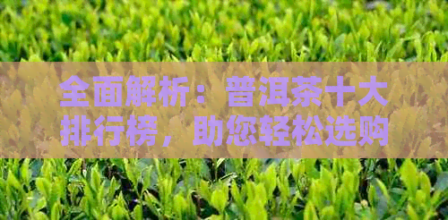 全面解析：普洱茶十大排行榜，助您轻松选购优质普洱茶