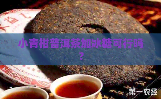 小青柑普洱茶加冰糖可行吗？