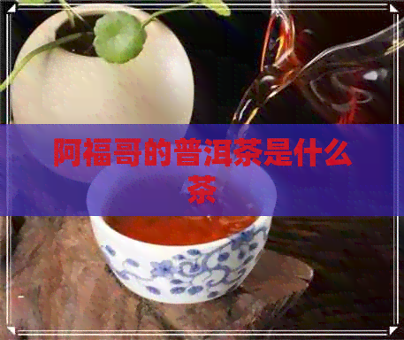 阿福哥的普洱茶是什么茶