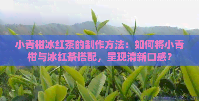 小青柑冰红茶的制作方法：如何将小青柑与冰红茶搭配，呈现清新口感？