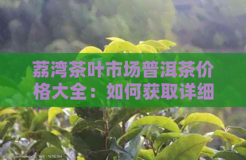 荔湾茶叶市场普洱茶价格大全：如何获取详细及实时的普洱茶价格信息？