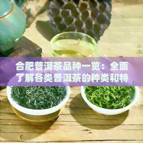 合肥普洱茶品种一览：全面了解各类普洱茶的种类和特点