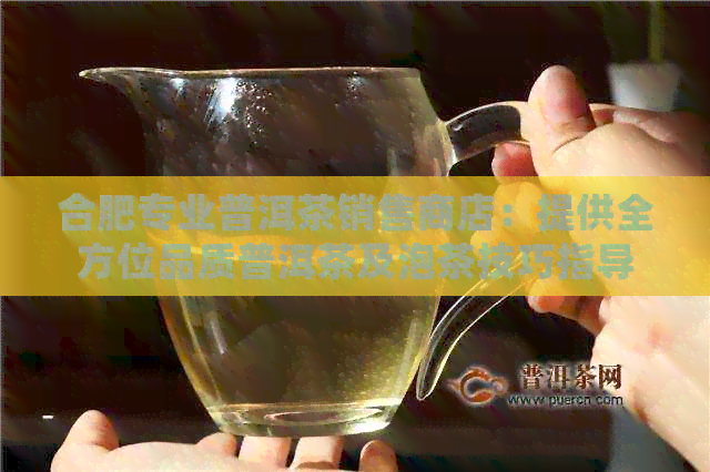 合肥专业普洱茶销售商店：提供全方位品质普洱茶及泡茶技巧指导