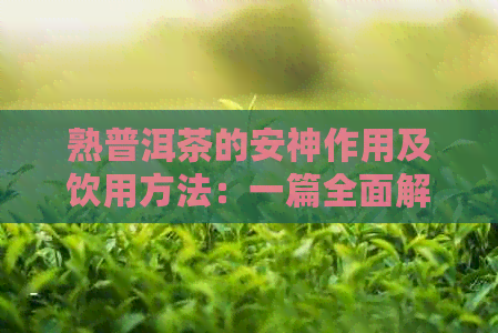 熟普洱茶的安神作用及饮用方法：一篇全面解析，让你轻松喝出好处！