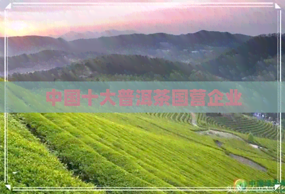 中国十大普洱茶国营企业