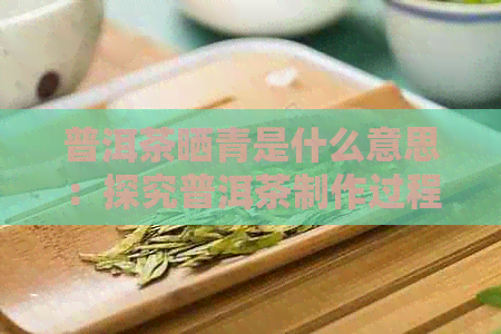 普洱茶晒青是什么意思：探究普洱茶制作过程中的晒青技术工艺。