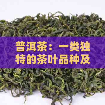 普洱茶：一类独特的茶叶品种及其品质特点分析