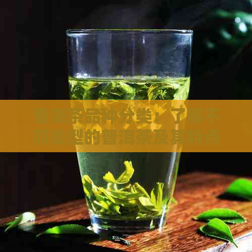 普洱茶品种分类：了解不同类型的普洱茶及其特点与功效