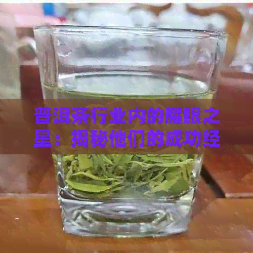 普洱茶行业内的耀眼之星：揭秘他们的成功经验与独特魅力