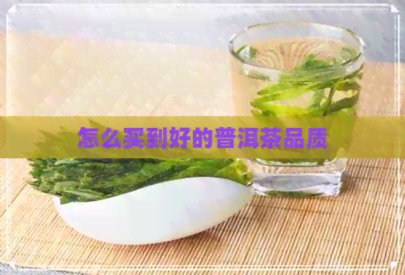 怎么买到好的普洱茶品质