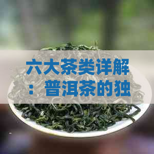 六大茶类详解：普洱茶的独特地位与种类划分