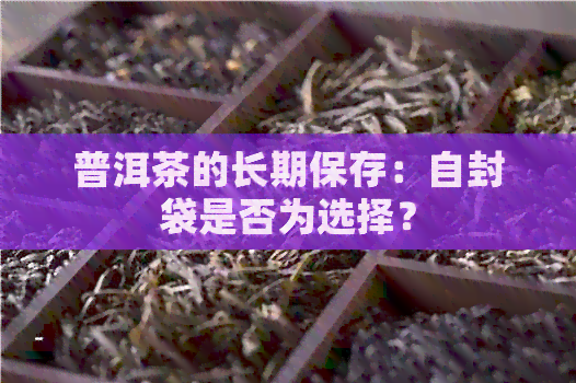 普洱茶的长期保存：自封袋是否为选择？