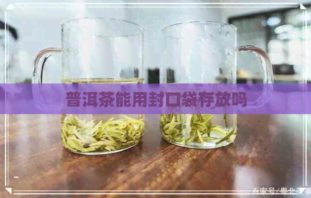 普洱茶能用封口袋存放吗