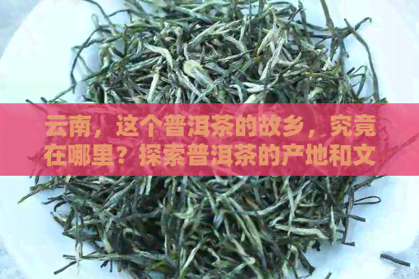 云南，这个普洱茶的故乡，究竟在哪里？探索普洱茶的产地和文化