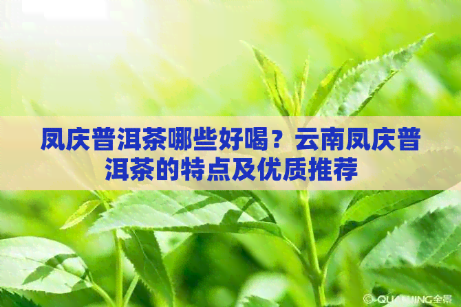 凤庆普洱茶哪些好喝？云南凤庆普洱茶的特点及优质推荐