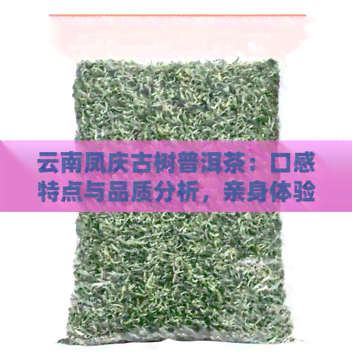 云南凤庆古树普洱茶：口感特点与品质分析，亲身体验茶厂制茶工艺