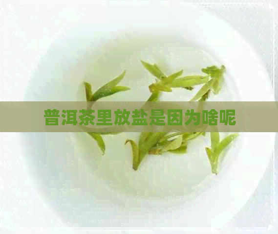 普洱茶里放盐是因为啥呢