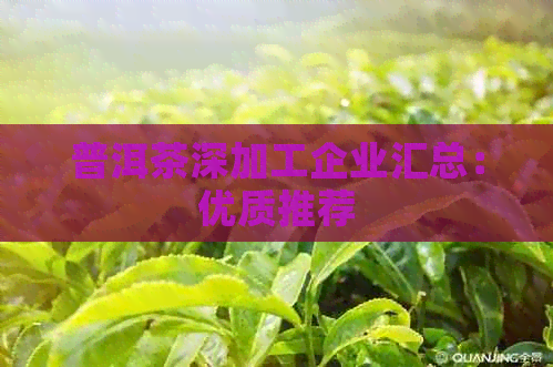 普洱茶深加工企业汇总：优质推荐