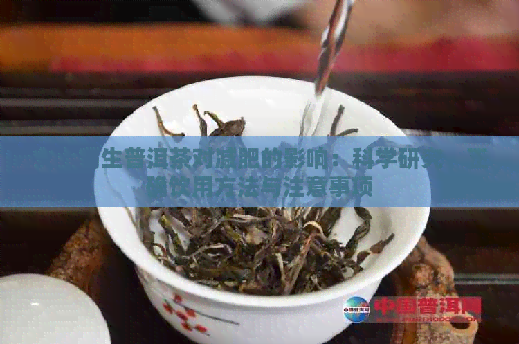 女士喝生普洱茶对减肥的影响：科学研究、正确饮用方法与注意事项