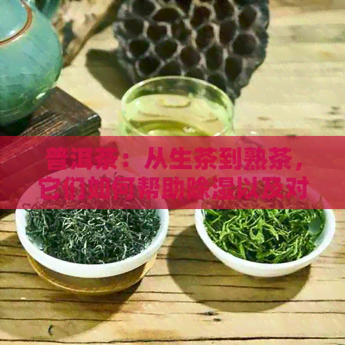 普洱茶：从生茶到熟茶，它们如何帮助除湿以及对健的影响？