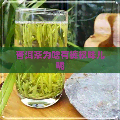 普洱茶为啥有裤衩味儿呢