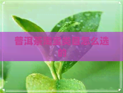 普洱茶淘宝类目怎么选的