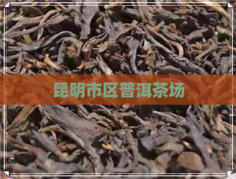 昆明市区普洱茶场