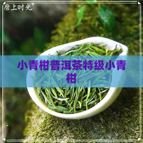 小青柑普洱茶特级小青柑