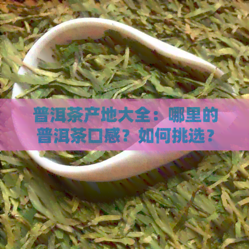 普洱茶产地大全：哪里的普洱茶口感？如何挑选？