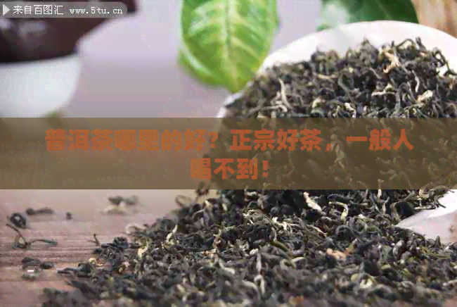 普洱茶哪里的好？正宗好茶，一般人喝不到！