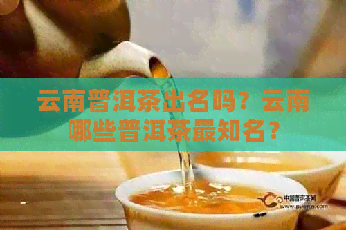 云南普洱茶出名吗？云南哪些普洱茶最知名？